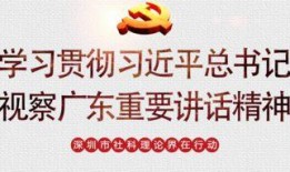 深圳王先生最近爆料新闻,最新爆料事件深度解析